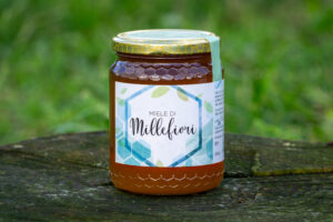 Az.agr.Gughi.202501 Miele MILLEFIORI Saporito