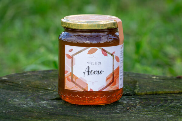 Az.agr.Gughi.202509 Miele di ACERO